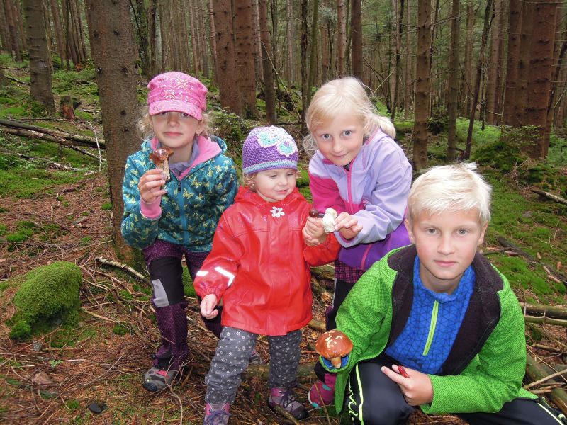 gal/2017/14_Basecamp Sumava/DSCN8672.JPG
